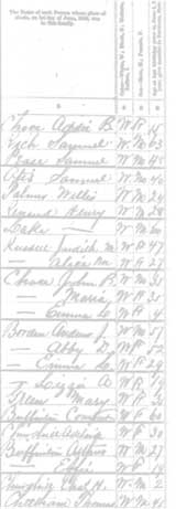 1880 Census Free