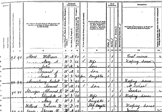 1880 Census Schedule, Columns 1-14
