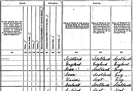 1880 Census Schedule, Columns 15-26